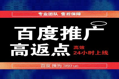 竞价推广成功案例解析